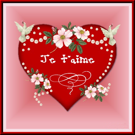 amour